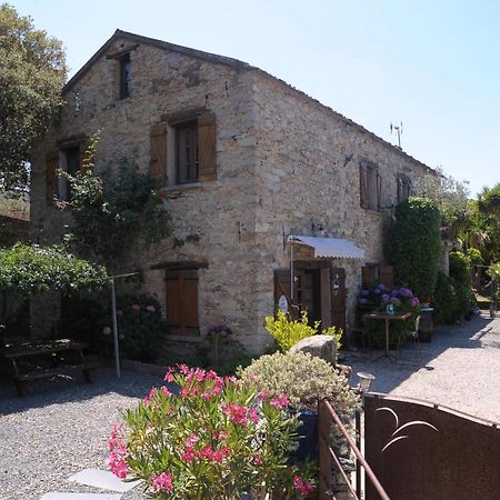 A Casa Di Paulina Bed and Breakfast Casta Exterior foto